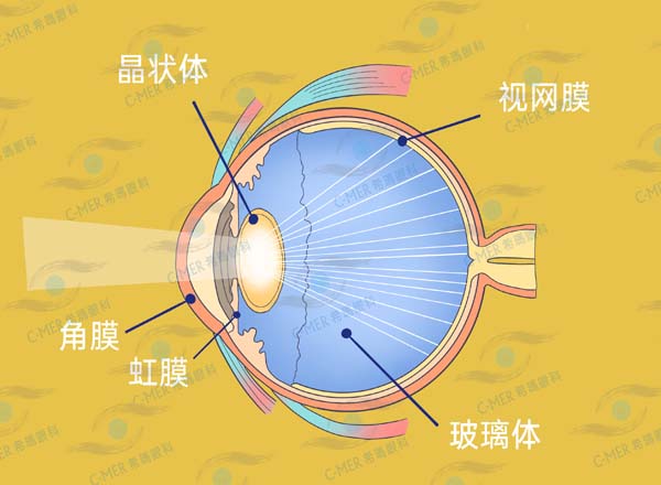 进来看看！关于白内障的那些事儿！